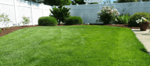 Lawn Fertilization Baton Rouge