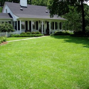 Lawn Fertilization Ascension