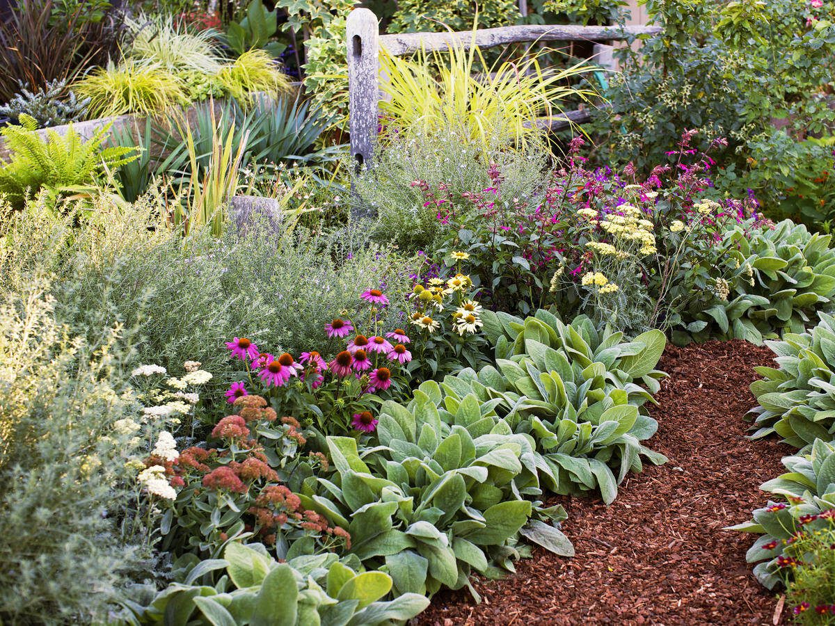 Sunset - Fall Planting<br />
gjs1014F
