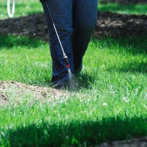 Lawn Weed Control Baton Rouge