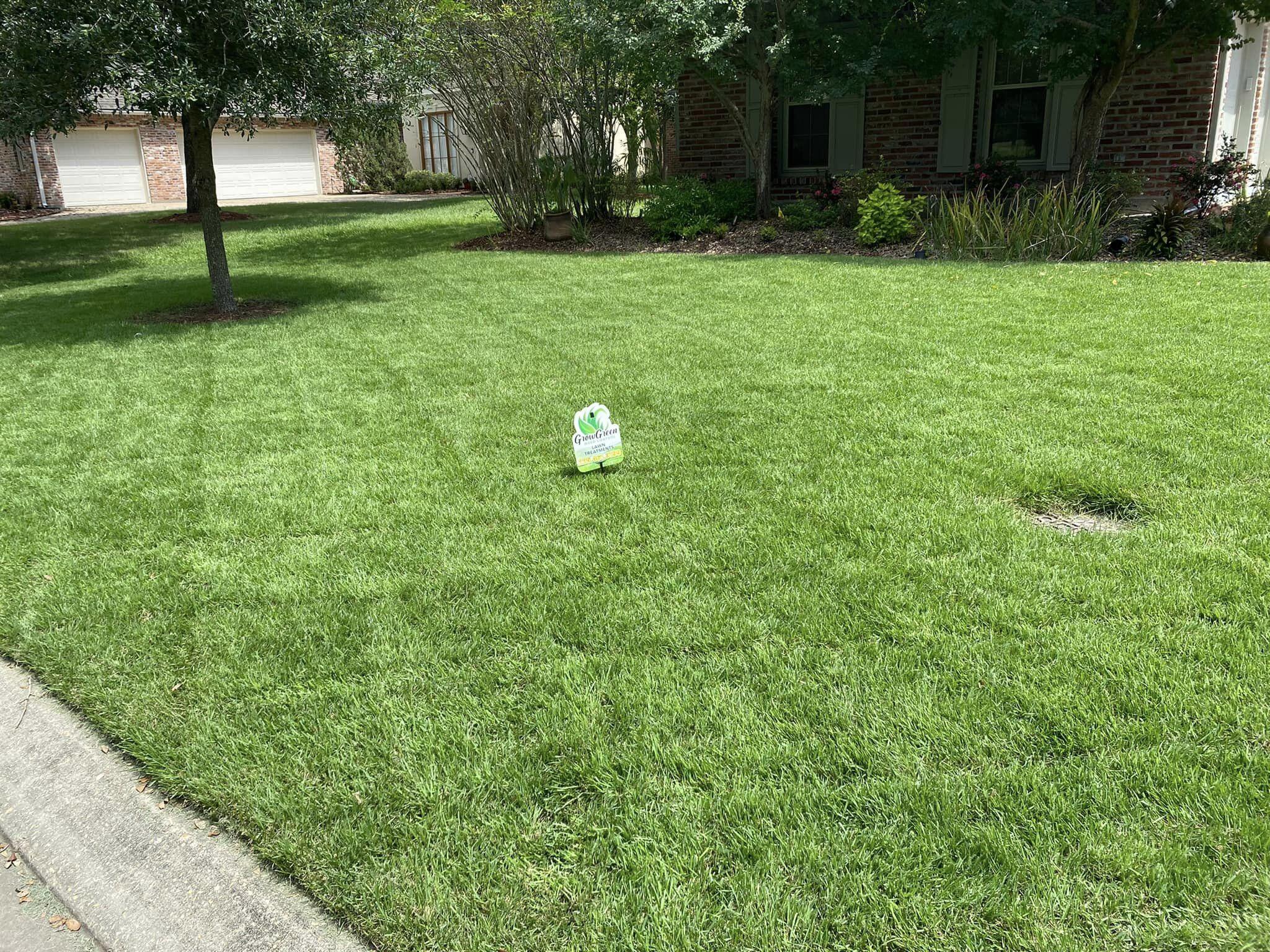 Thick green lawn freshly treated