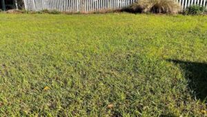 winter fertilizer prairieville 