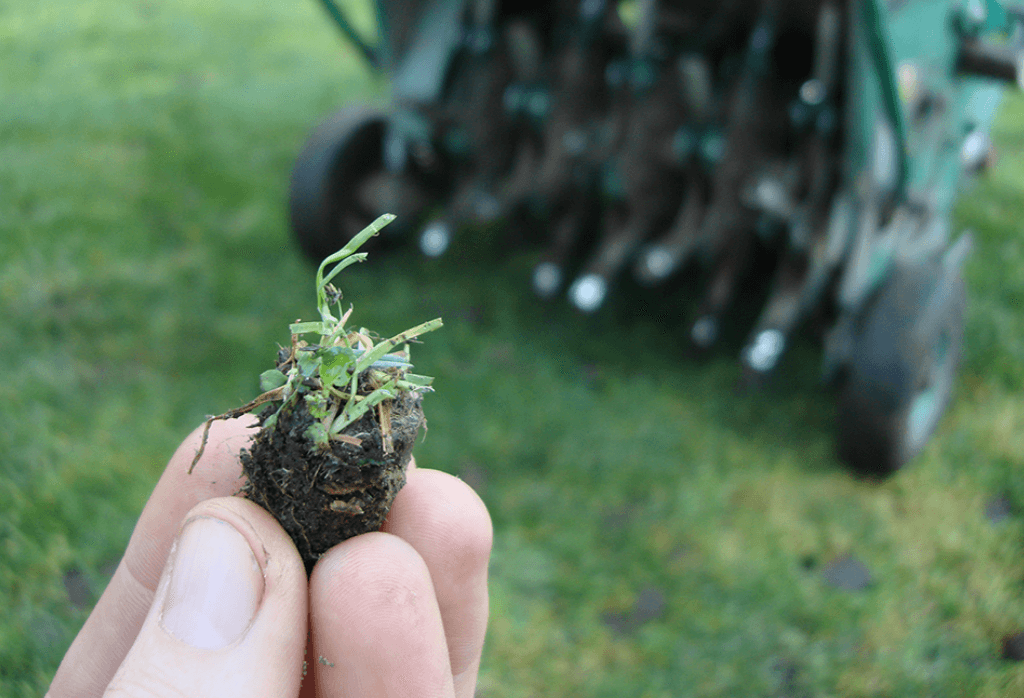 lawn aeration in baton rouge