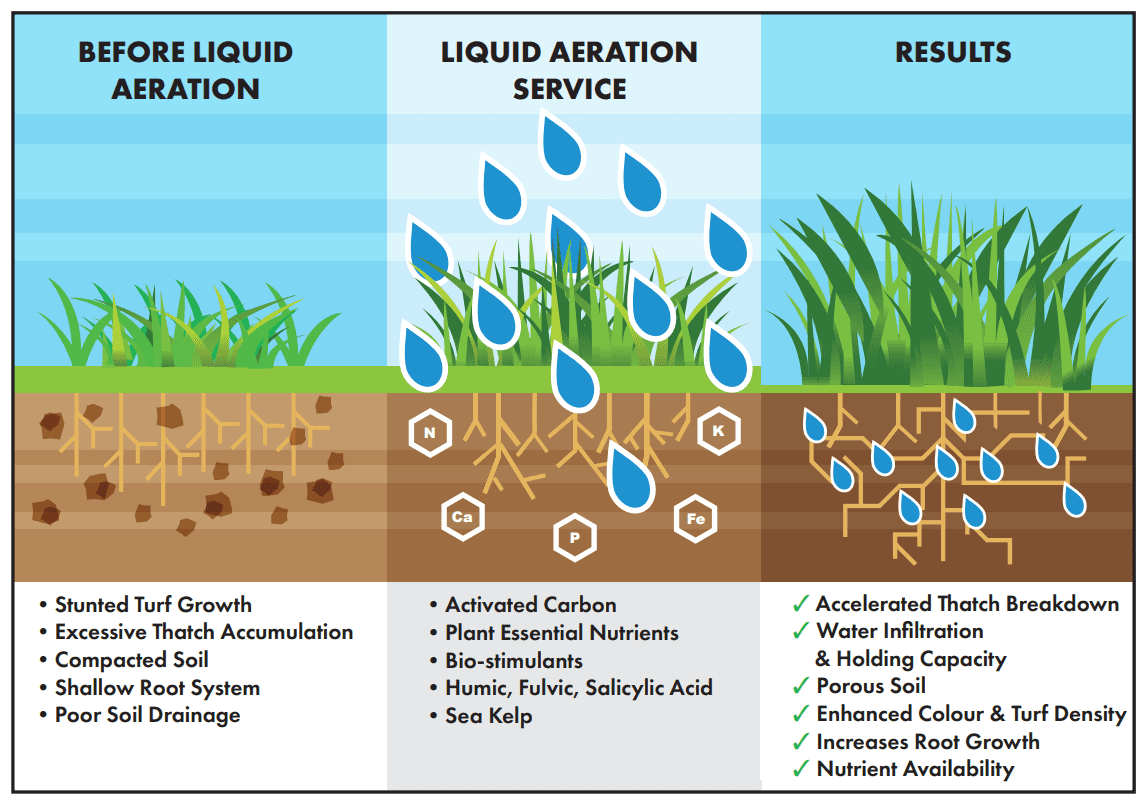 Liquid Aeration Before&After Liquid Aeration Baton Rouge