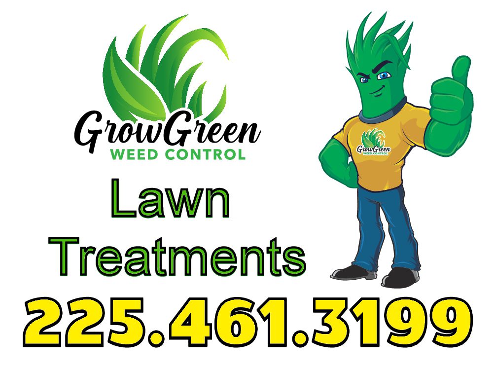 Lawn Treatment and Weed Control in Iberville Parish | Grow Green Weed ...