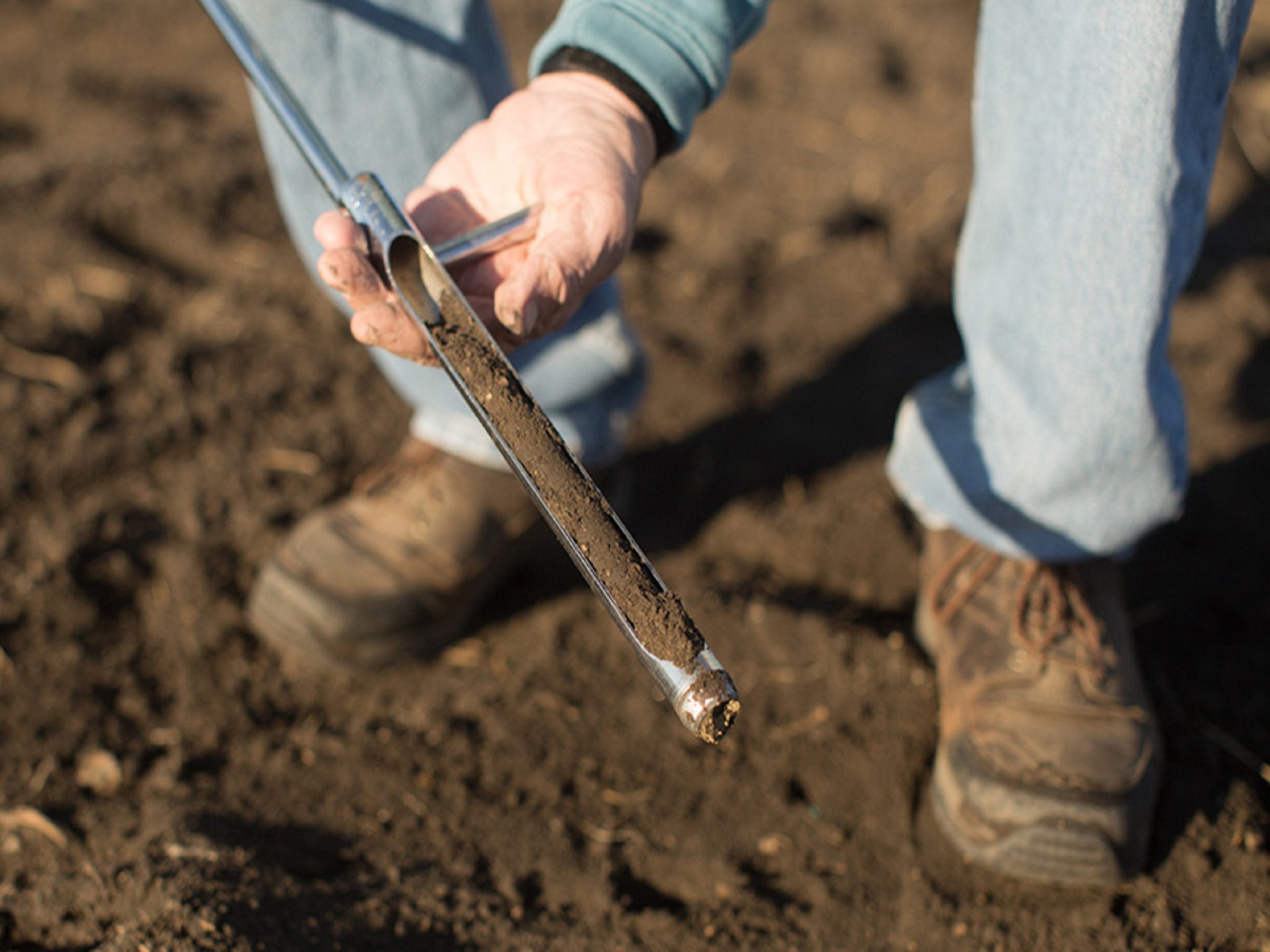 Technician sampling soil