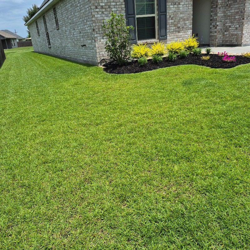 Lawn fertilization service in Ascension Parish by Grow Green Weed Control
