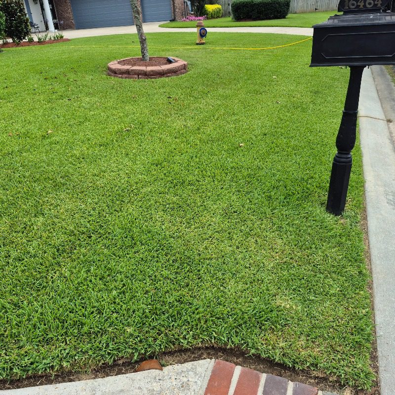 Green Baton Rouge residential lawn with a treatment hose visible near the driveway