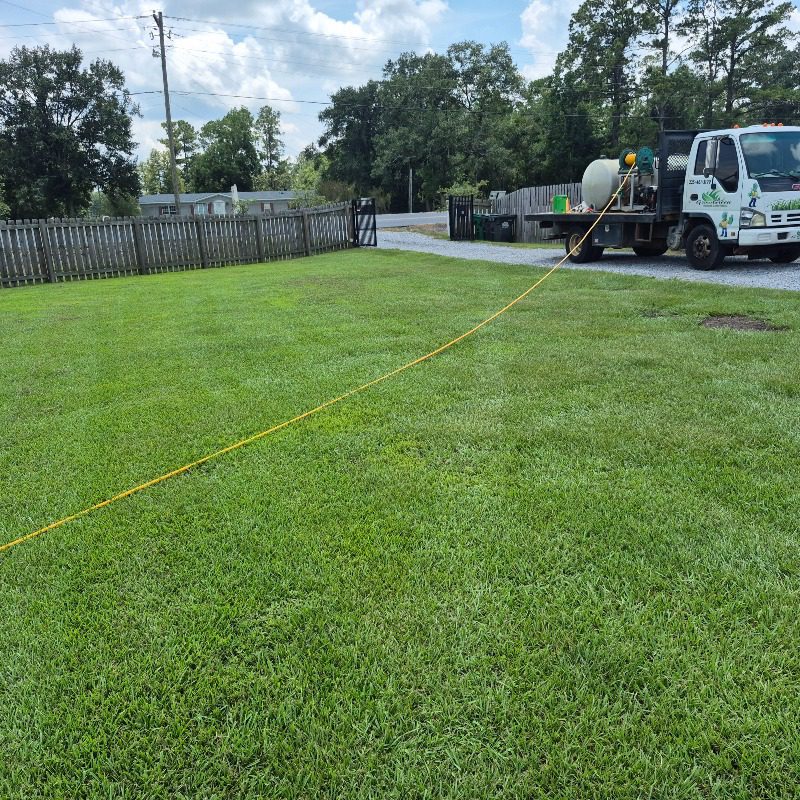 Lawn fertilization service in Gonzales, Louisiana by Grow Green Weed Control