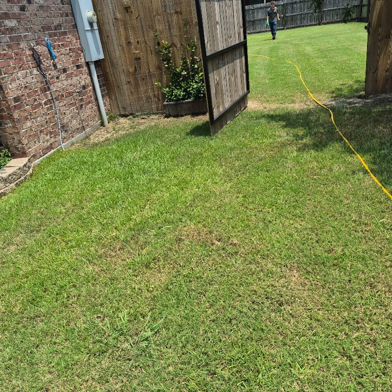 Lawn treatment in Addis LA by Grow Green Weed Control technician applying weed control