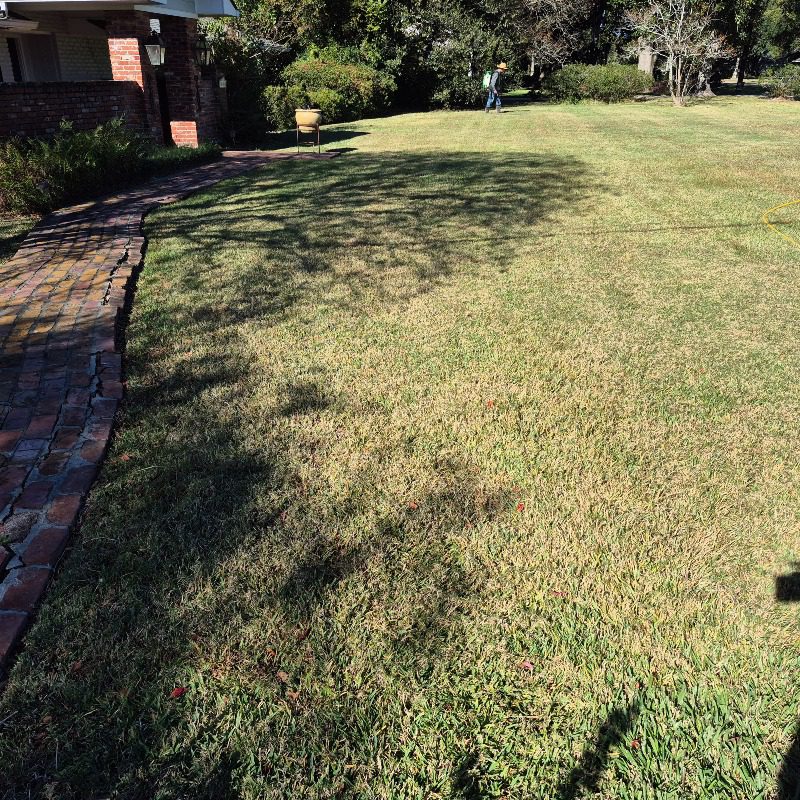 Grow Green technician treating a lawn beside a brick walkway, with a yellow treatment hose visible