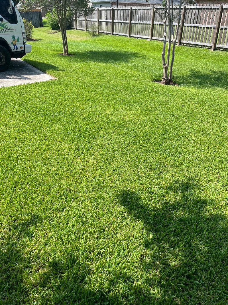 Green lawn and shade trees beside a Grow Green branded service truck and a wooden fence