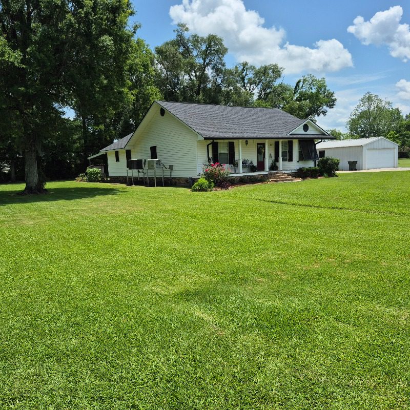 Green front lawn with a shade tree beside a white house and detached garage